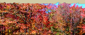 Biking in Oneida County