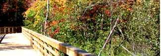 Biking in Vilas County